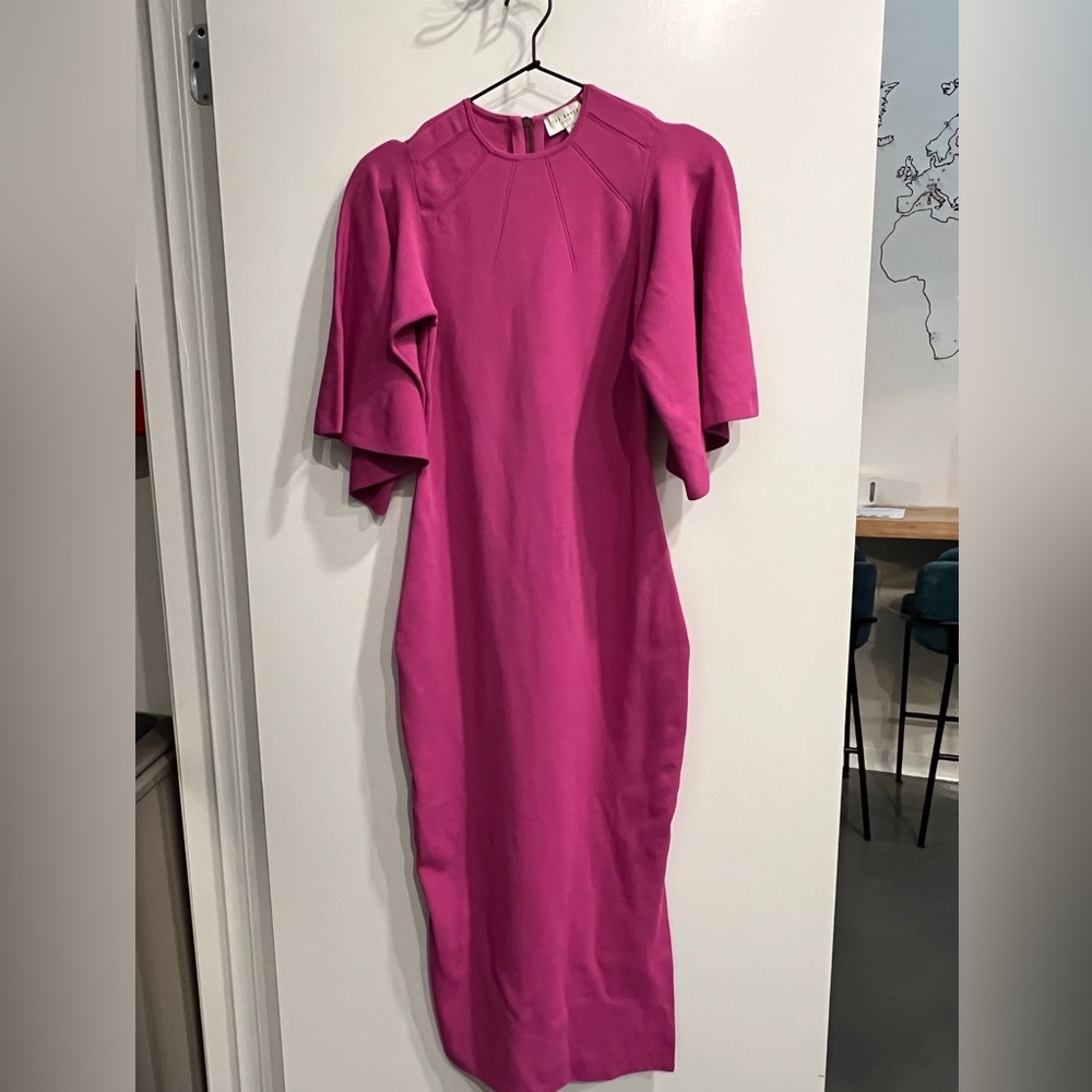 Ted Baker Fuchsia Long Sleeve Dress
